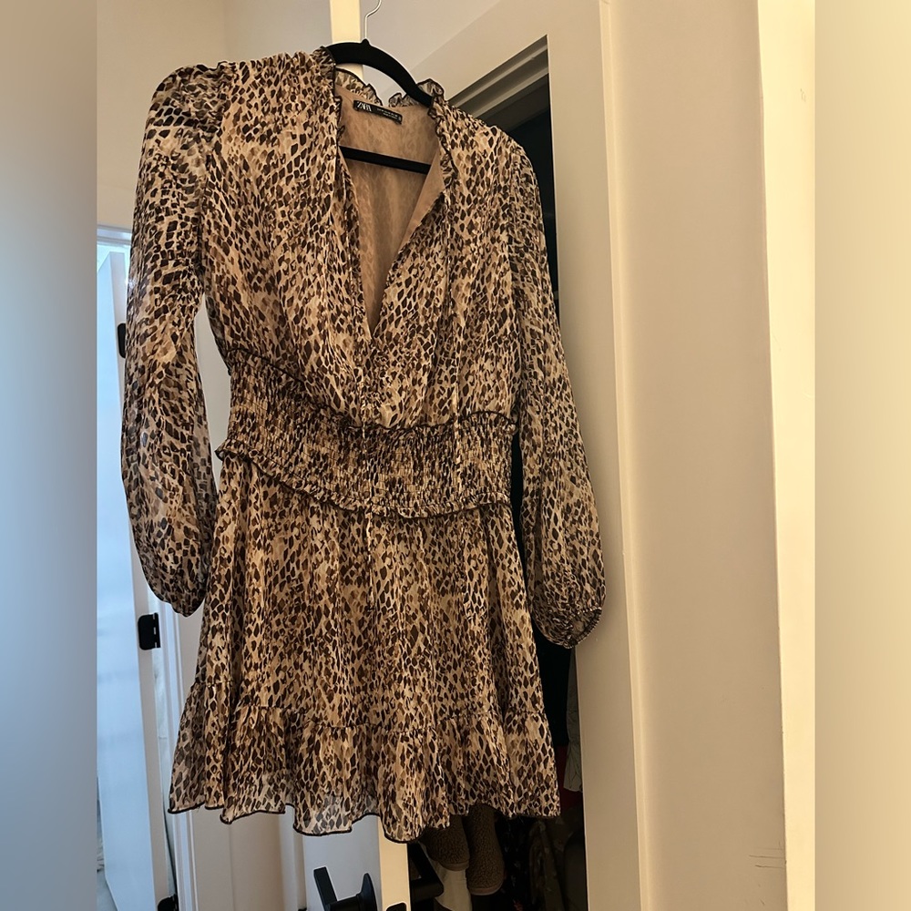 Zara Animal Print Dress